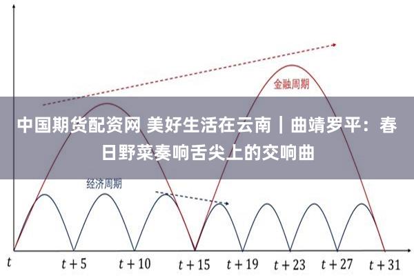中国期货配资网 美好生活在云南｜曲靖罗平：春日野菜奏响舌尖上的交响曲