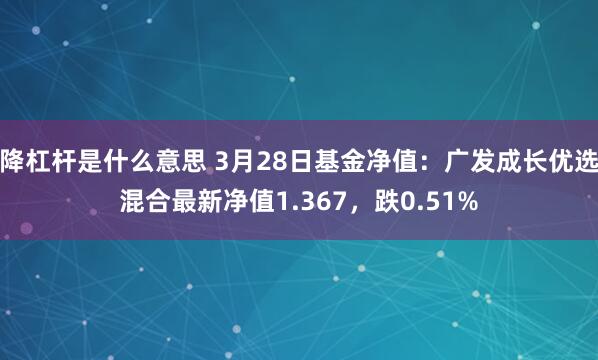 降杠杆是什么意思 3月28日基金净值：广发成长优选混合最新净值1.367，跌0.51%