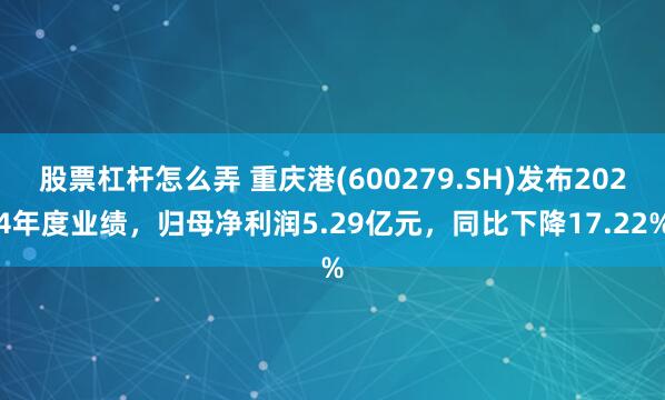 股票杠杆怎么弄 重庆港(600279.SH)发布2024年度业绩，归母净利润5.29亿元，同比下降17.22%