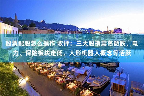 股票配股怎么操作 收评：三大股指震荡微跌，电力、保险板块走低，人形机器人概念等活跃