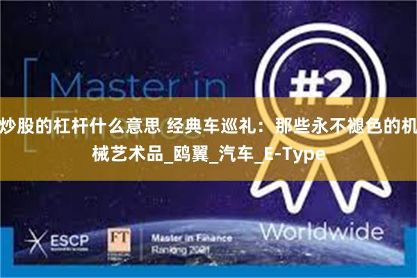 炒股的杠杆什么意思 经典车巡礼：那些永不褪色的机械艺术品_鸥翼_汽车_E-Type