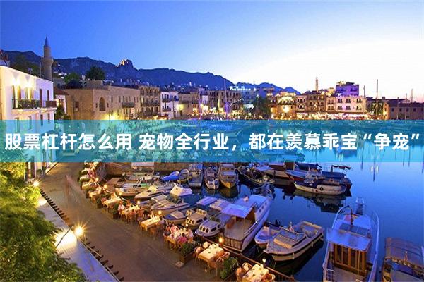 股票杠杆怎么用 宠物全行业，都在羡慕乖宝“争宠”