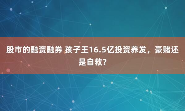 股市的融资融券 孩子王16.5亿投资养发，豪赌还是自救？