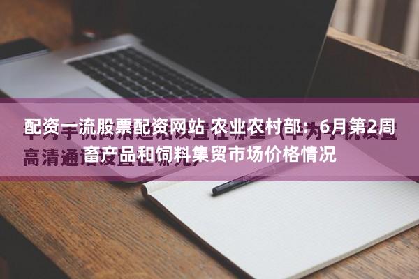 配资一流股票配资网站 农业农村部：6月第2周畜产品和饲料集贸市场价格情况
