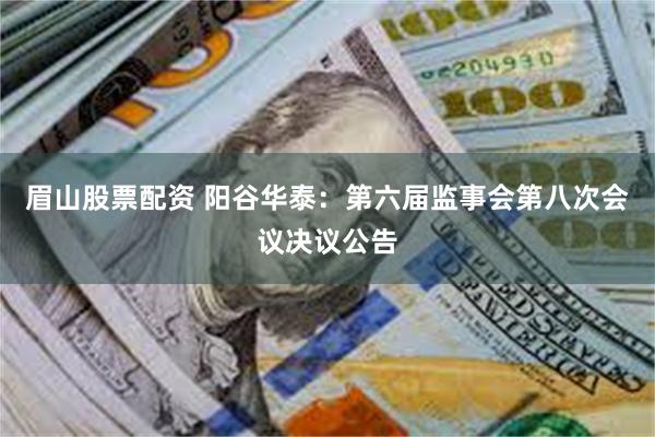 眉山股票配资 阳谷华泰：第六届监事会第八次会议决议公告